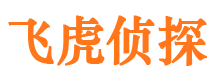 屏边市侦探公司